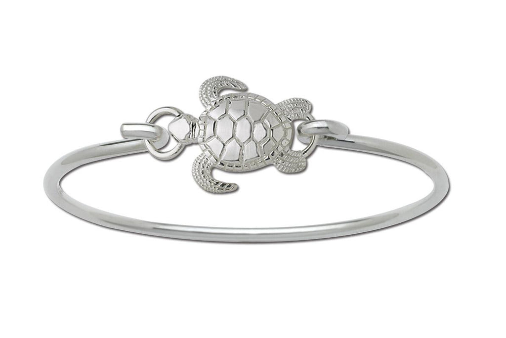 The Turtle Clasp
